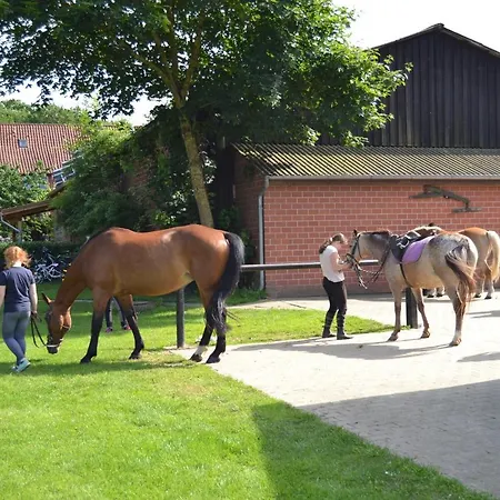 Reit- Und Bauernhof Klaucke Lejlighed