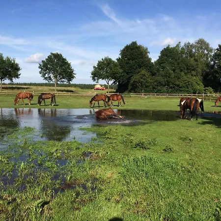 Reit- Und Bauernhof Klaucke