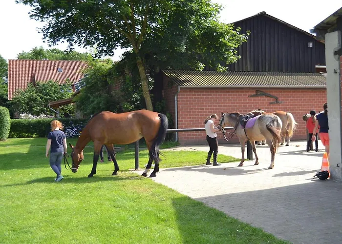 Reit- Und Bauernhof Klaucke Lägenhet
