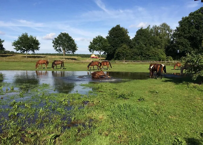 Reit- Und Bauernhof Klaucke