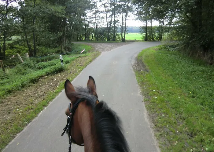 Reit- Und Bauernhof Klaucke